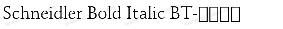 Schneidler Bold Italic BT字体转换